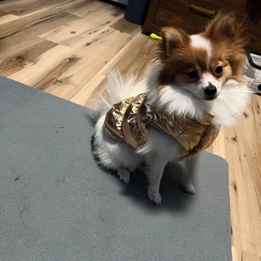 Dog Winter Puffer Jacket Size M gold Warm Pet Coat Dog Clothes Cozy